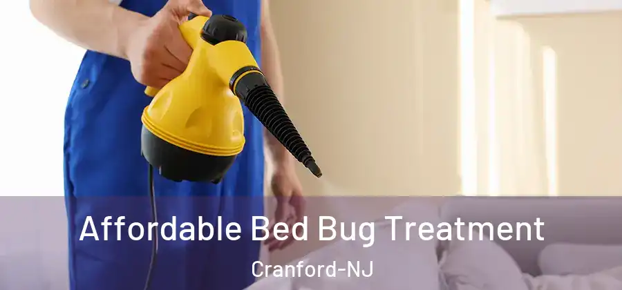  Affordable Bed Bug Treatment Cranford-NJ