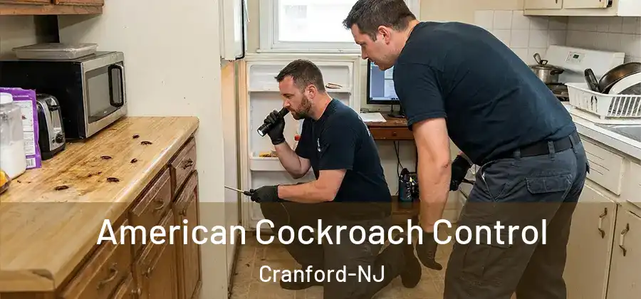  American Cockroach Control Cranford-NJ
