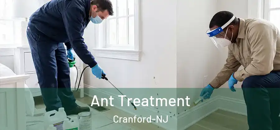 Ant Treatment Cranford-NJ