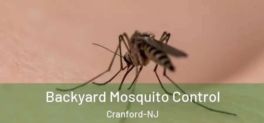 Backyard Mosquito Control Cranford-NJ