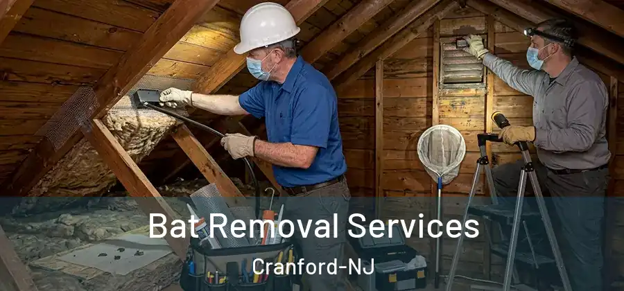  Bat Removal Services Cranford-NJ