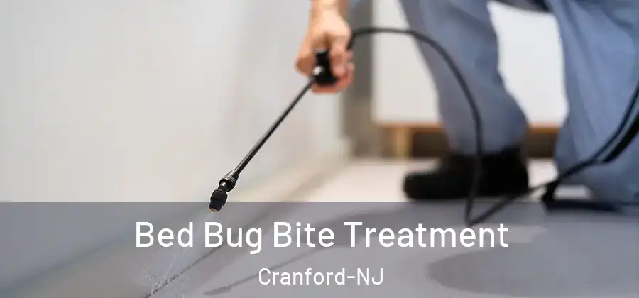 Bed Bug Bite Treatment Cranford-NJ