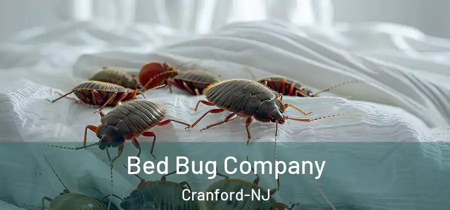Bed Bug Company Cranford-NJ
