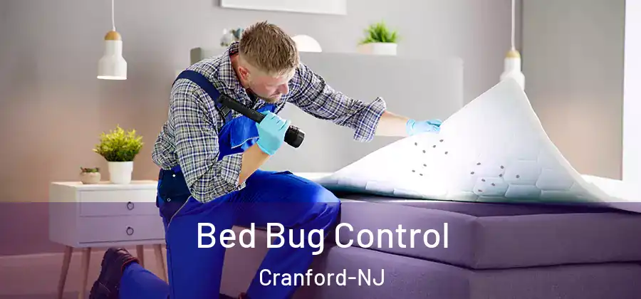  Bed Bug Control Cranford-NJ