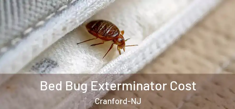 Bed Bug Exterminator Cost Cranford-NJ