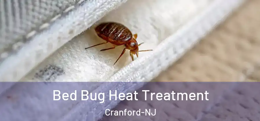 Bed Bug Heat Treatment Cranford-NJ