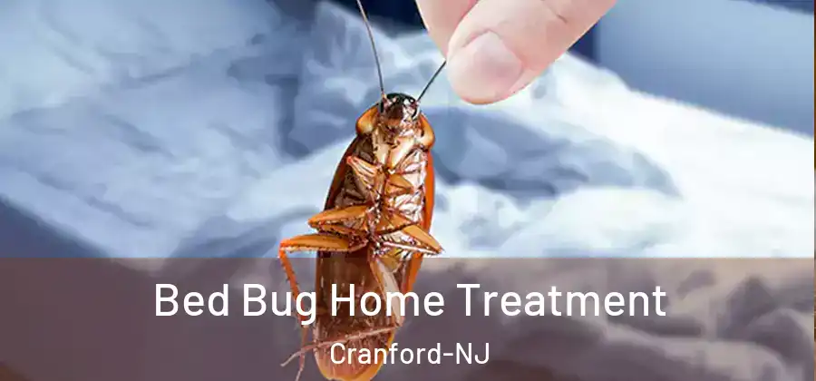 Bed Bug Home Treatment Cranford-NJ