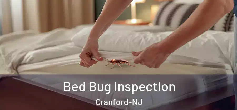 Bed Bug Inspection Cranford-NJ