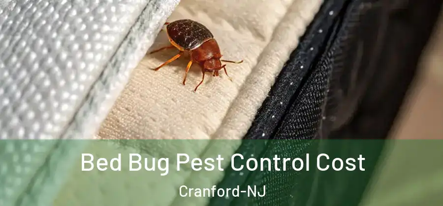 Bed Bug Pest Control Cost Cranford-NJ