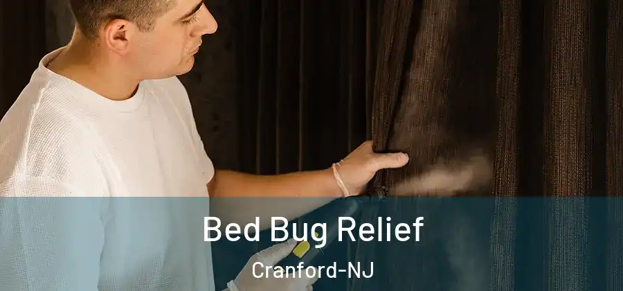 Bed Bug Relief Cranford-NJ
