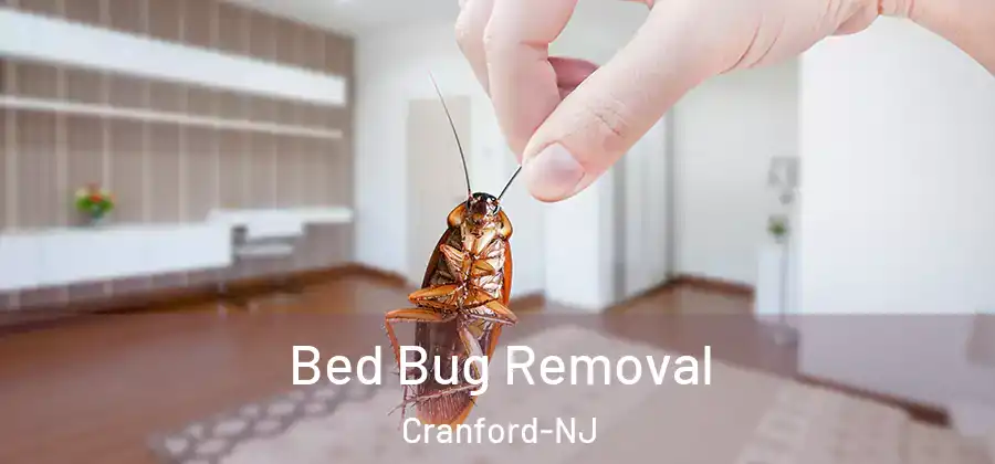  Bed Bug Removal Cranford-NJ