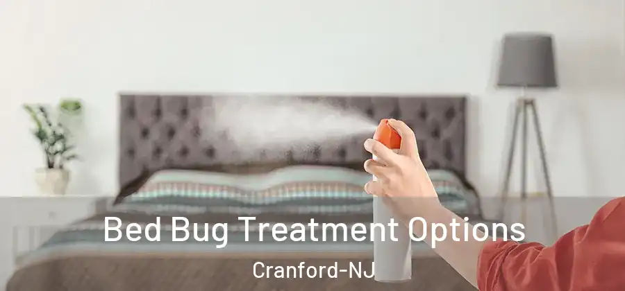 Bed Bug Treatment Options Cranford-NJ
