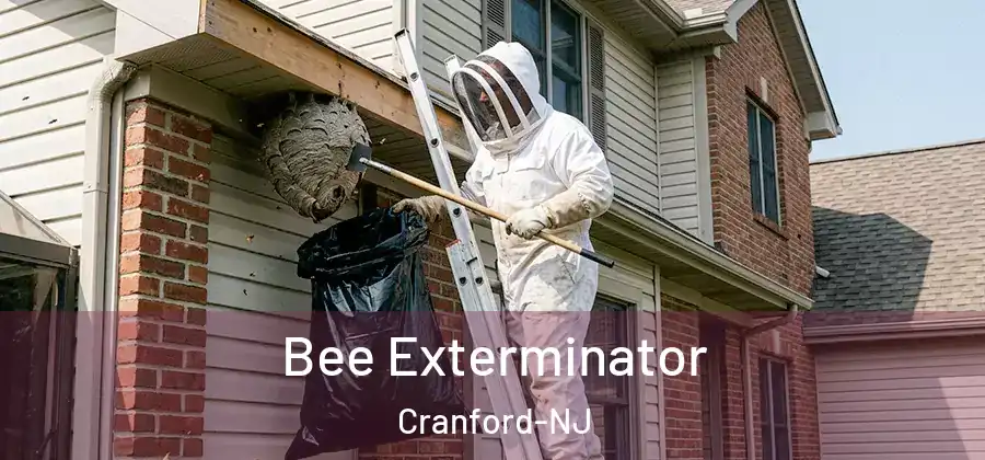Bee Exterminator Cranford-NJ