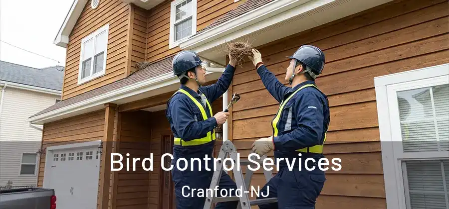 Bird Control Services Cranford-NJ