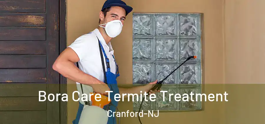Bora Care Termite Treatment Cranford-NJ