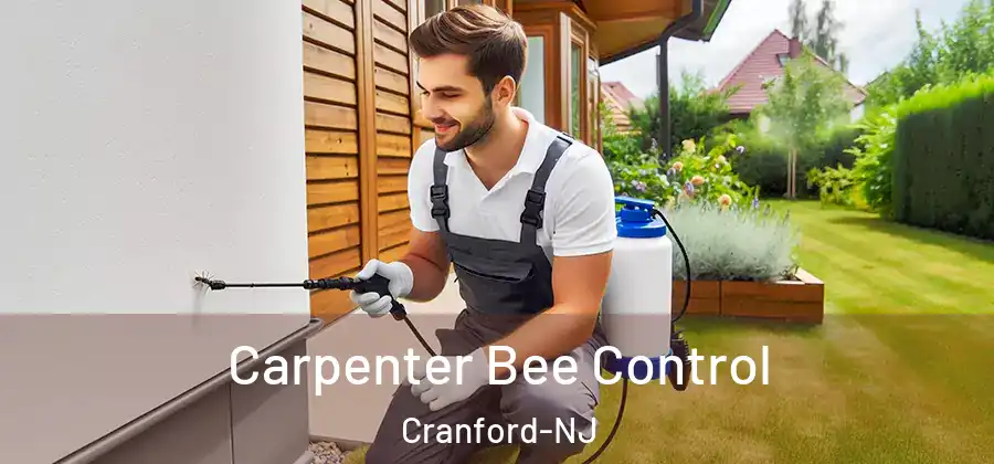 Carpenter Bee Control Cranford-NJ