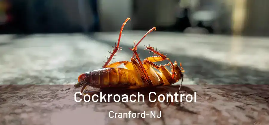  Cockroach Control Cranford-NJ