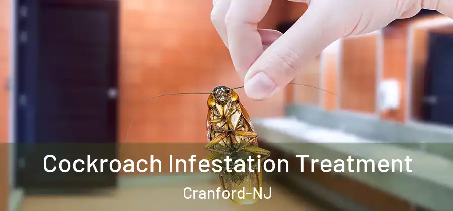 Cockroach Infestation Treatment Cranford-NJ