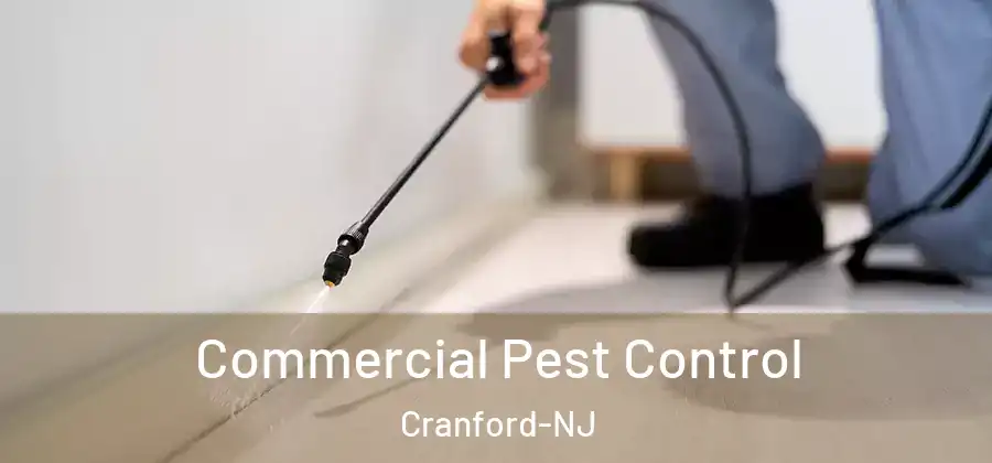 Commercial Pest Control Cranford-NJ