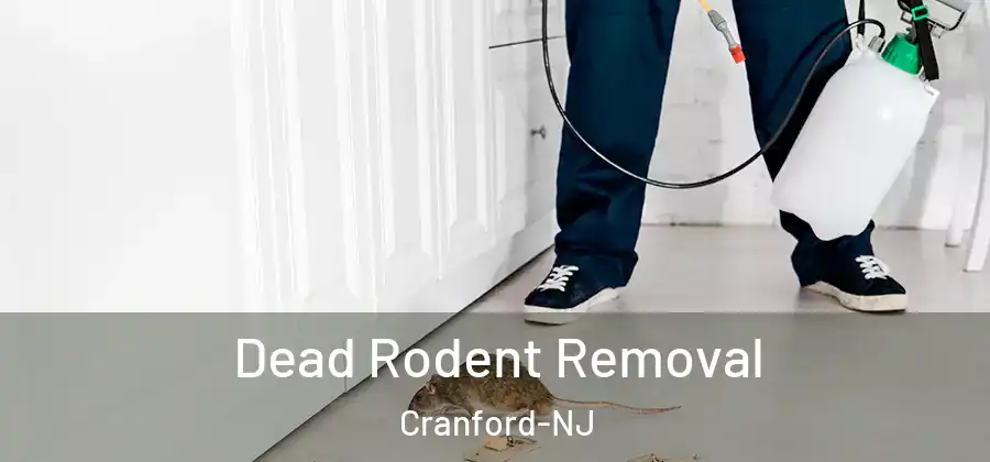  Dead Rodent Removal Cranford-NJ