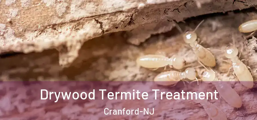 Drywood Termite Treatment Cranford-NJ