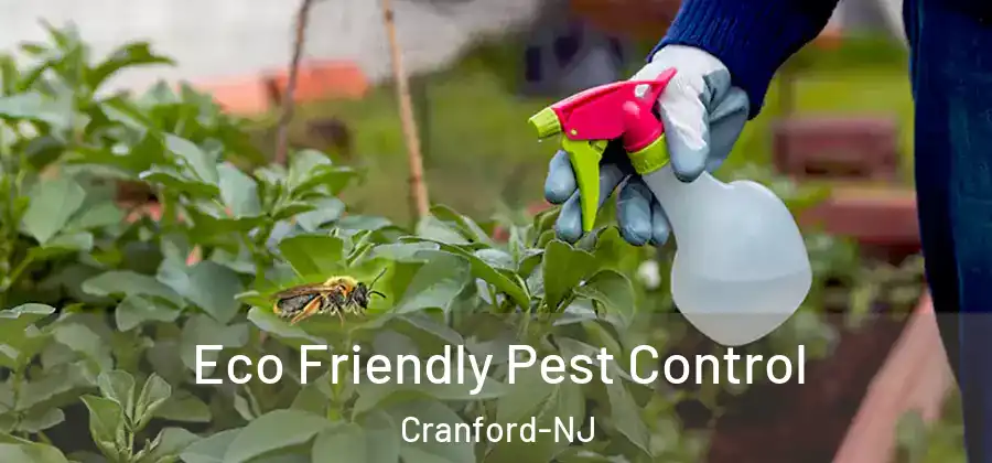  Eco Friendly Pest Control Cranford-NJ