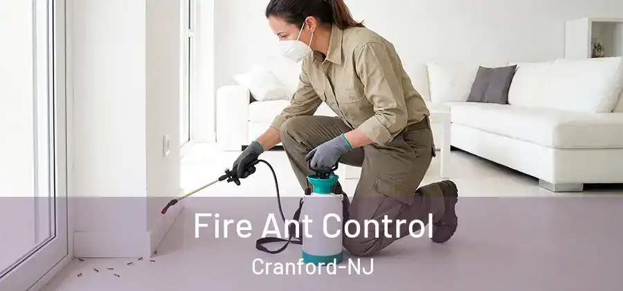 Fire Ant Control Cranford-NJ