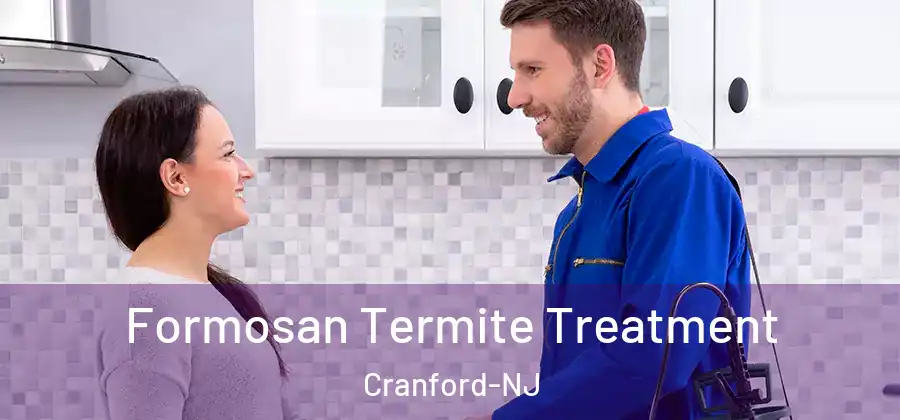 Formosan Termite Treatment Cranford-NJ
