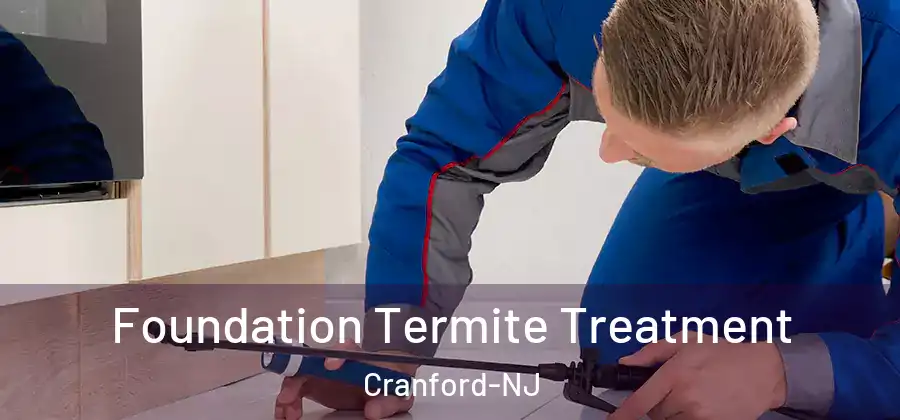 Foundation Termite Treatment Cranford-NJ