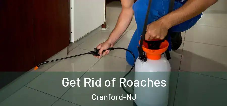 Get Rid of Roaches Cranford-NJ