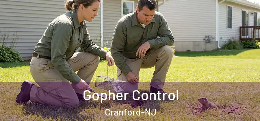  Gopher Control Cranford-NJ