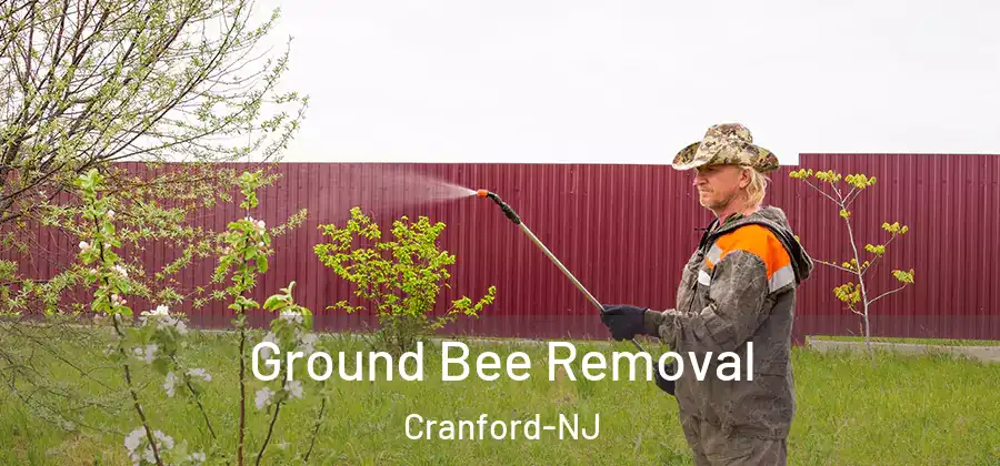  Ground Bee Removal Cranford-NJ