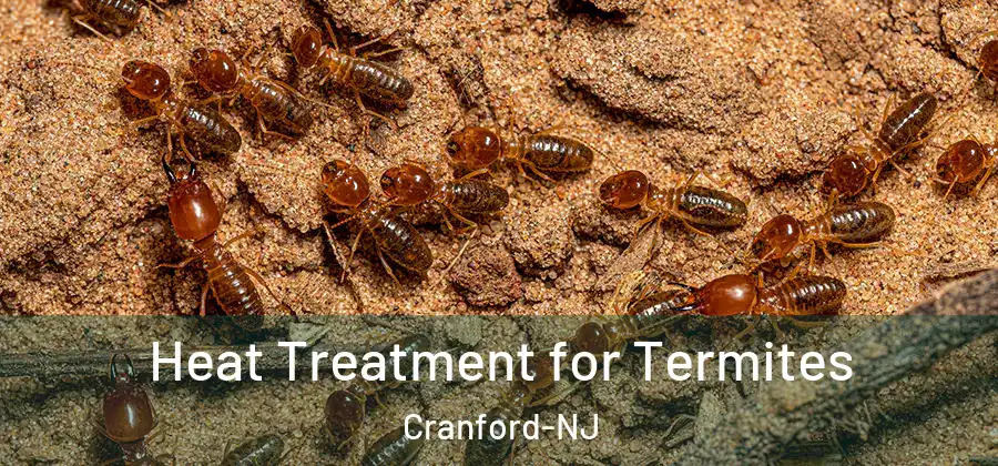 Heat Treatment for Termites Cranford-NJ