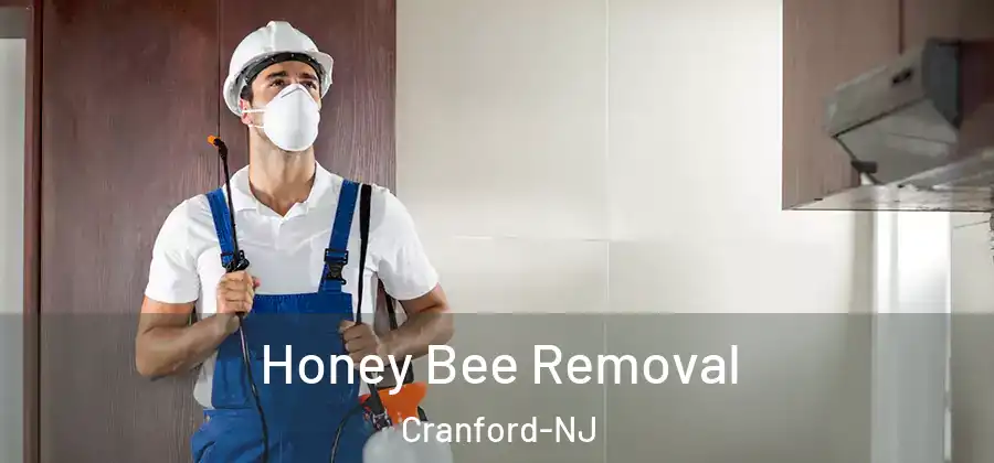 Honey Bee Removal Cranford-NJ