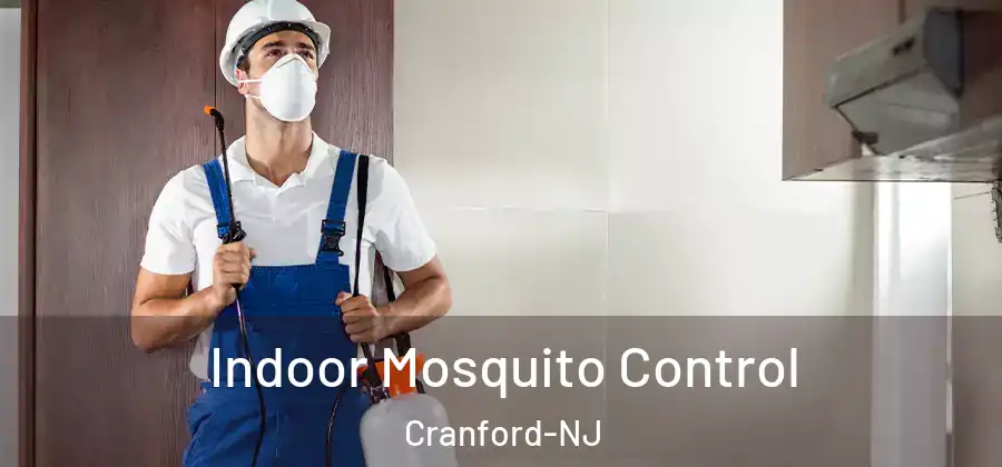 Indoor Mosquito Control Cranford-NJ