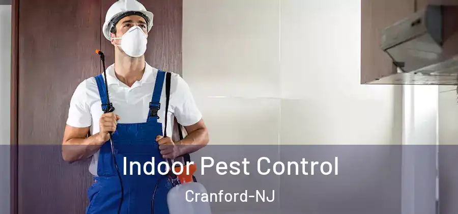 Indoor Pest Control Cranford-NJ
