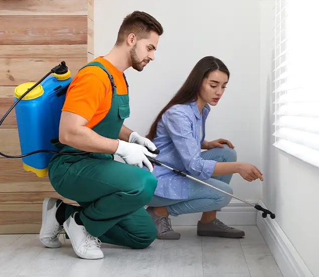 Trusted Affordable Bed Bug Treatment Experts in Cranford, NJ