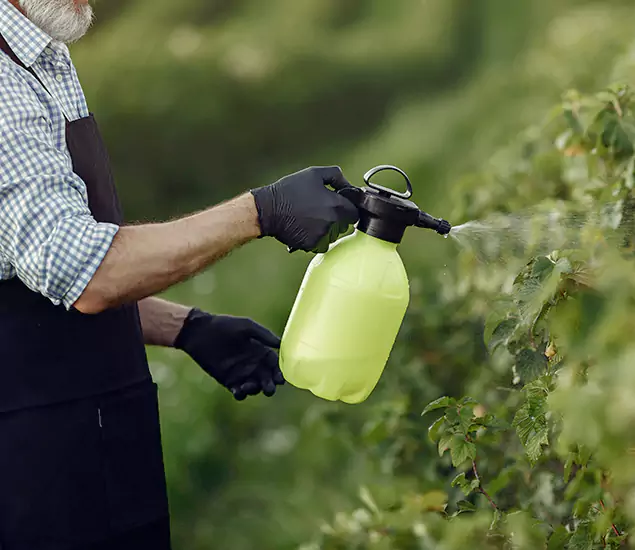 Your Proven Mosquito Treatment Company in Cranford, NJ