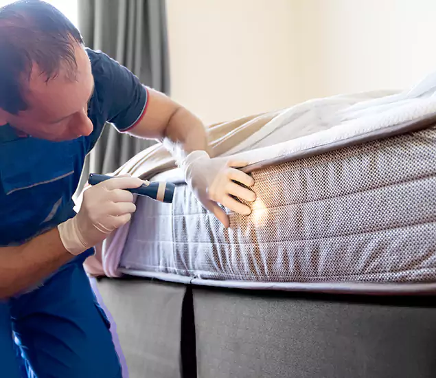 Trusted Bed Bug Cost Experts in Cranford, NJ