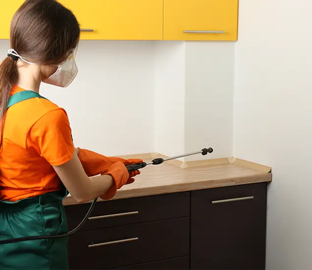 Trusted Bed Bug Pest Control Specialist in Cranford, NJ