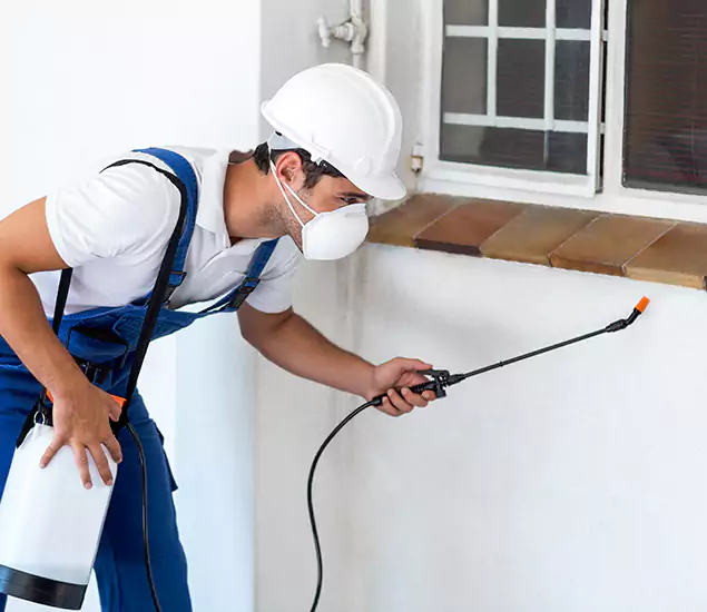 Your Professional Cockroach Exterminator in Cranford, NJ