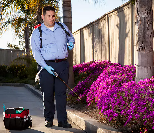 About Our Eco Safe Pest Control Experts in Cranford, NJ