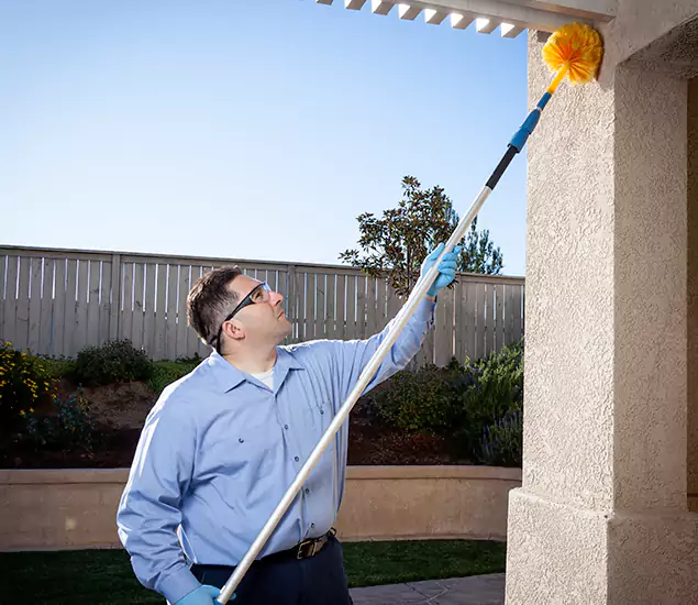 Trusted Experts in Cranford NJ for Formosan Termite Treatment and Black Termite Control