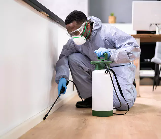 Leading Industrial Pest Control Experts Serving Cranford, NJ