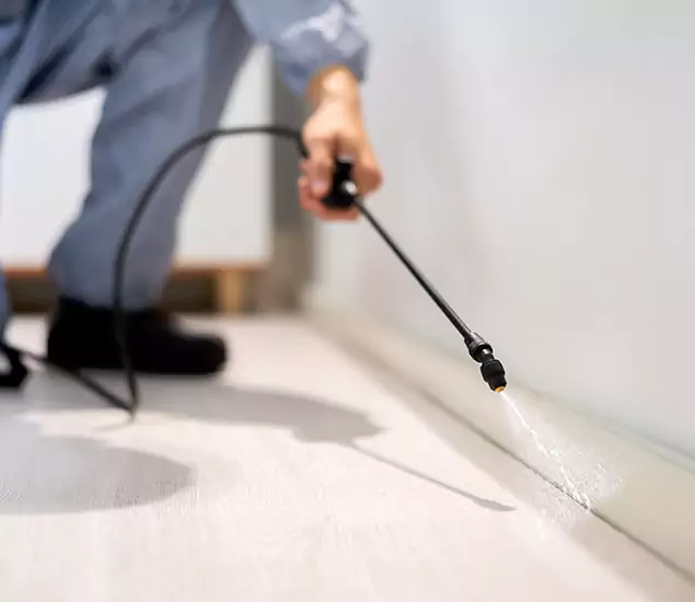 About Our Liquid Termite Treatment Experts in Cranford, NJ