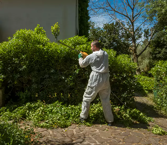 Mosquito Abatement