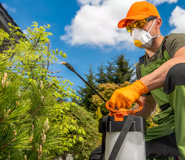 Your Mosquito Repellent Barrier Service in Cranford, NJ