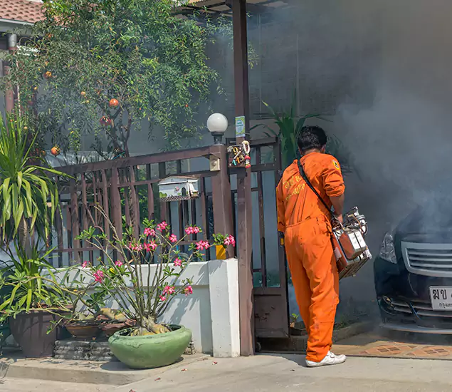 Your Proven Mosquito Fogging Company in Cranford, NJ
