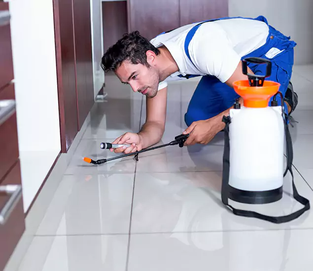 Reliable Professional Mouse Removal: Your Best Mouse Control Company in Cranford, NJ