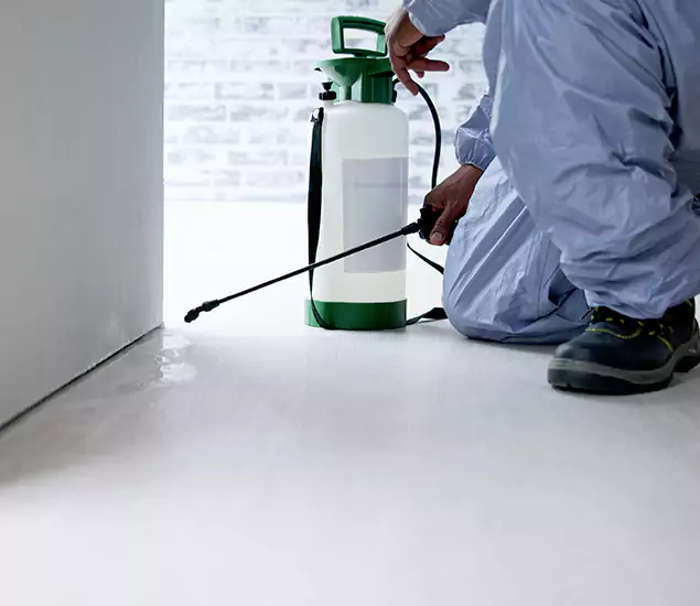 Affordable Pest Control Experts in Cranford, NJ